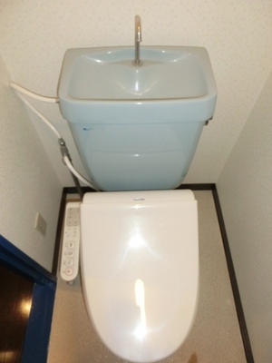 Toilet. Buttocks clean cleaning toilet seat