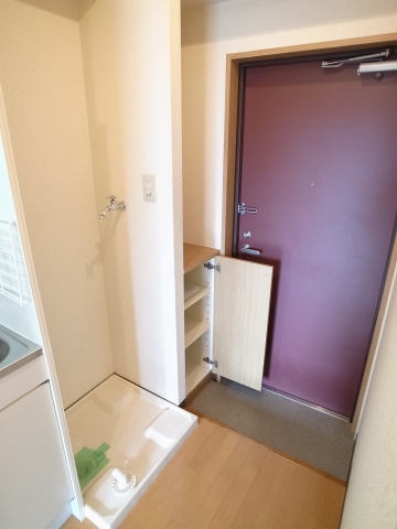 Entrance. Cupboard with storage in the front door