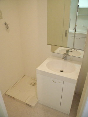 Washroom. It is the washstand of a large mirror