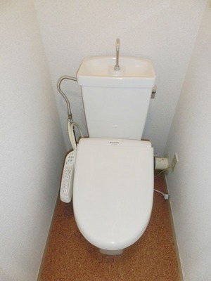 Toilet. With cleaning function.