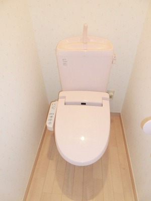 Toilet. It is with cleaning function.