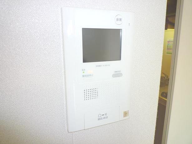 Security. Monitor with intercom