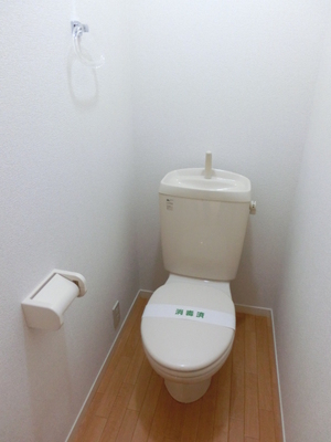 Toilet. Clean toilet