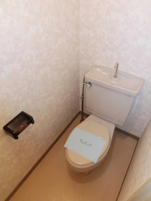 Toilet. Clean toilet