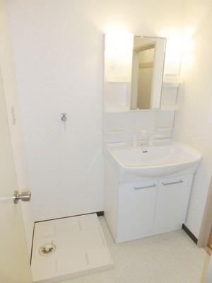 Washroom. Wash basin with shampoo dresser