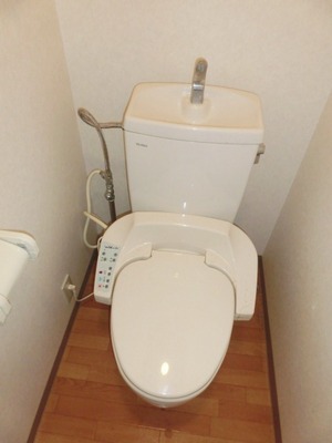 Toilet. Toilet with warm water washing toilet seat