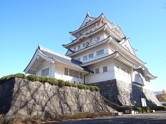 Other. 1000m to Chiba Castle (Other)