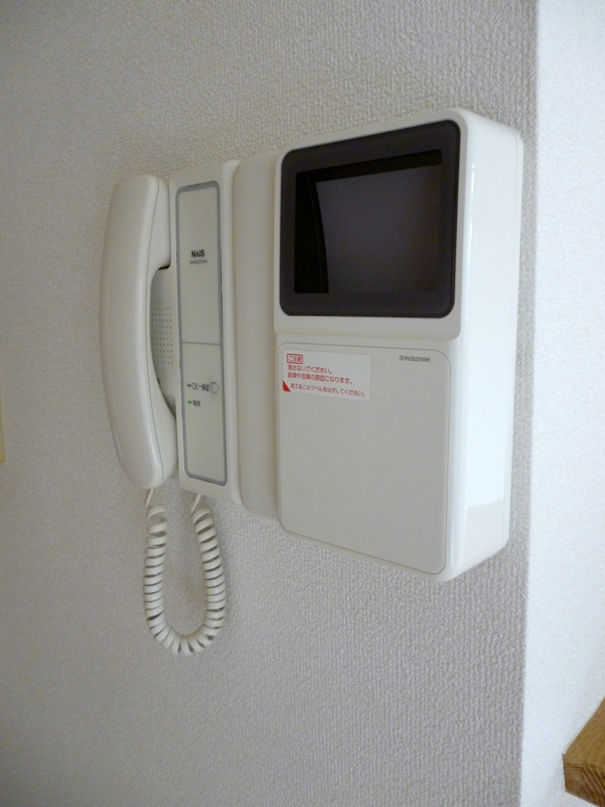 Security. TV monitor phone