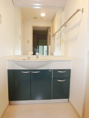 Washroom. Bathroom Vanity