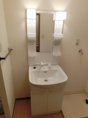 Washroom. Convenient independent vanity