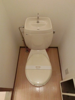 Toilet. Toilet