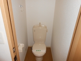 Toilet. Spacious toilet