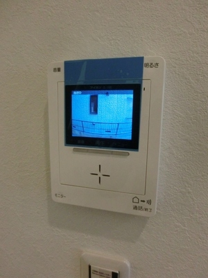 Security. Intercom with TV monitor.