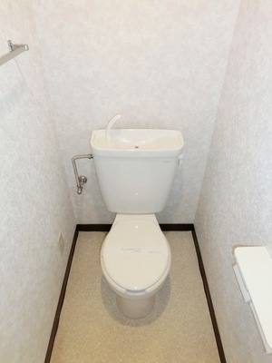Toilet. Independent type of simple toilet