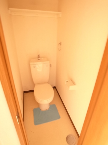 Toilet. Convenient with storage shelf in toilet.