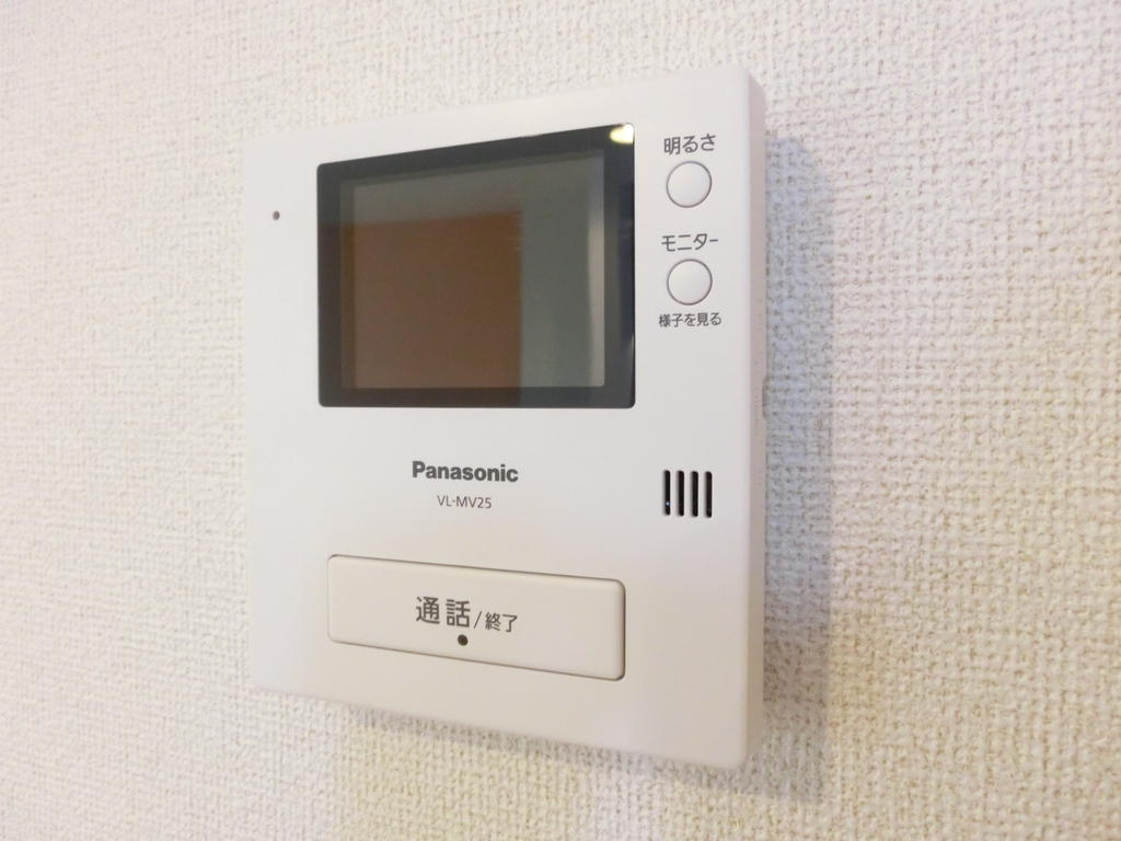 Security. Monitor with intercom