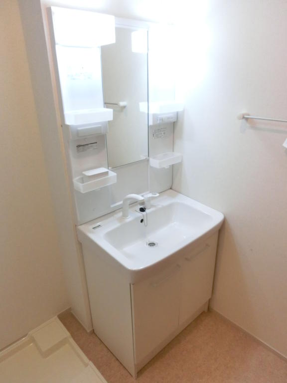 Washroom. Shampoo dresser