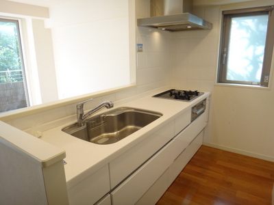 Kitchen. Airy kitchen with a bright window.