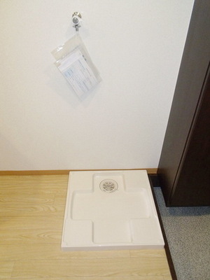 Washroom. It is indoor washing machine Storage