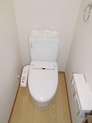 Toilet. Toilet with a bidet