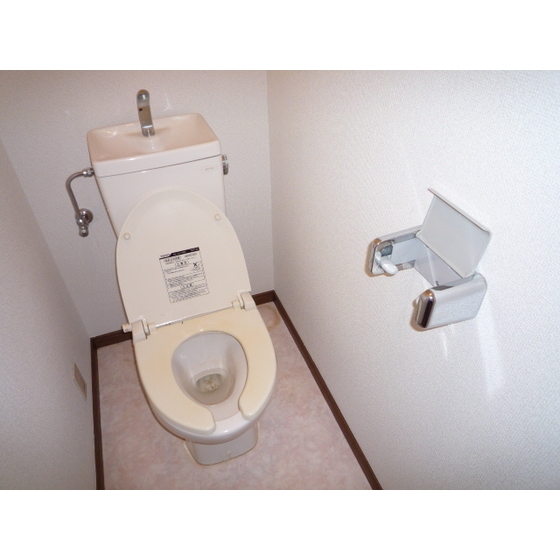 Other. Toilet Separate