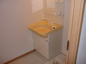 Washroom. Independent wash basin is shampoo vanity. 
