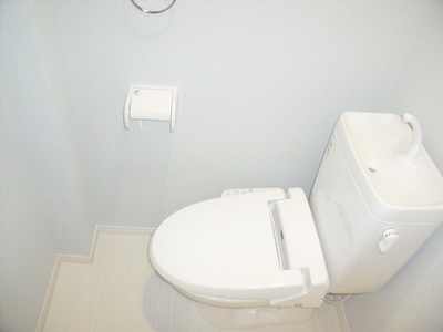 Toilet. Toilet with a bidet