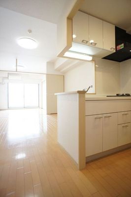 Living and room. Living-dining overlooking the counter kitchen over. 