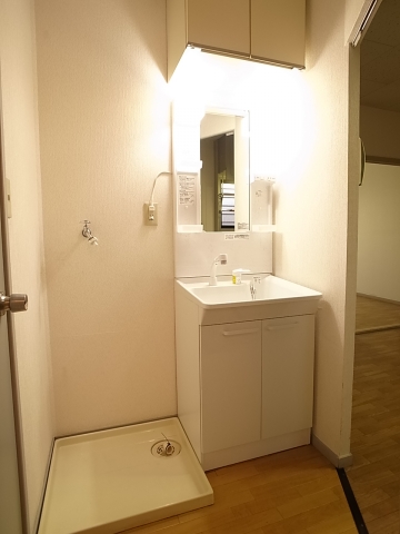 Washroom. Tsu we have put shampoo dresser! 