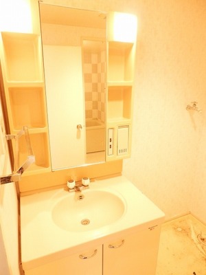 Washroom. It is a convenient wash basin in the morning of the busy time zone