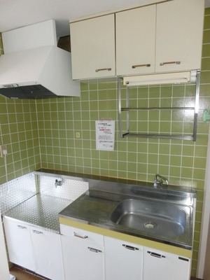 Kitchen. Two-burner gas stove can be installed