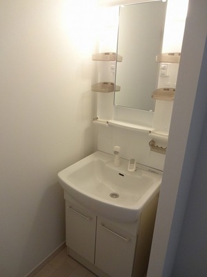 Washroom. Wash basin with a morning of dressing also happy shampoo dresser