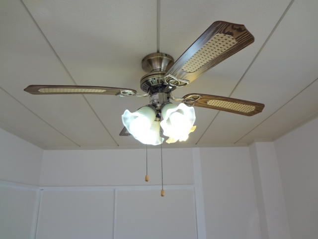 Other. With ceiling fans