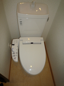 Toilet. Cleaning feature with toilet seat