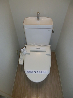 Toilet. Washlet toilet