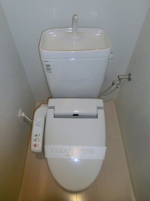 Toilet. Clean toilet