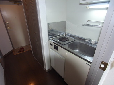 Kitchen. With electric stove in the mini-kitchen.