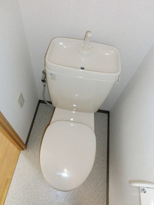 Toilet. Toilet