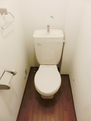 Toilet. I toilets are simple. 