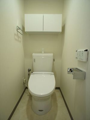 Toilet. It is with a bidet.