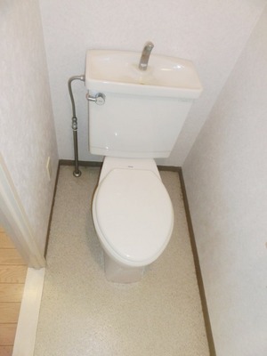 Toilet. Independent type of toilet
