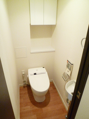 Toilet. Tankless toilet