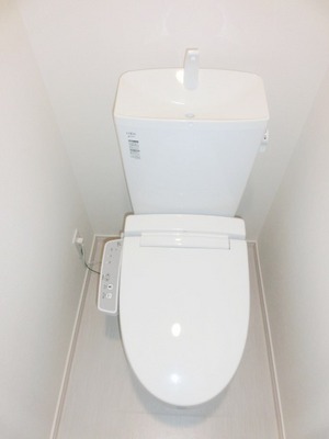 Toilet. With cleaning function.