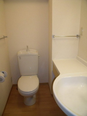 Toilet. Stylish powder room