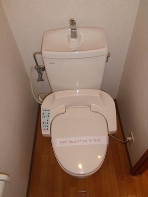 Toilet. Toilet with a bidet