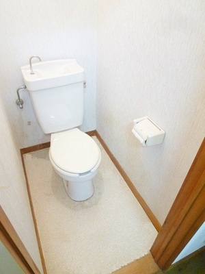 Toilet. It is a toilet with a clean