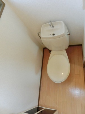 Toilet. Clean toilet