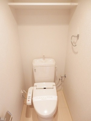 Toilet. Storage is a shelf with toilet.