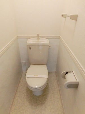 Toilet. It is a toilet with a clean