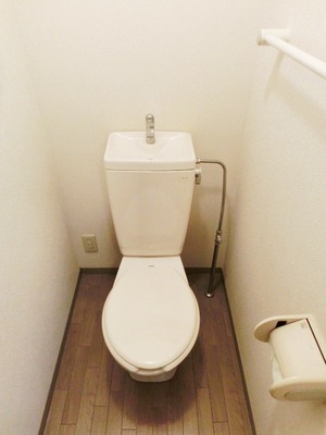 Toilet. I toilets are simple.